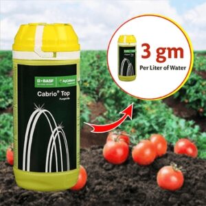 BASF Cabrio Top Fungicide