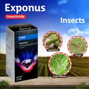 BASF Exponus Insecticide