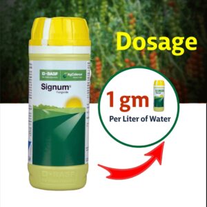 BASF Signum Fungicide - 240 GM