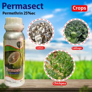 Coromandel Permasect Insecticide
