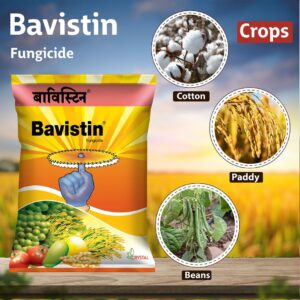 Bavistin Carbendazim 50% WP