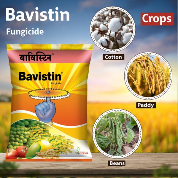 Bavistin Carbendazim 50% WP