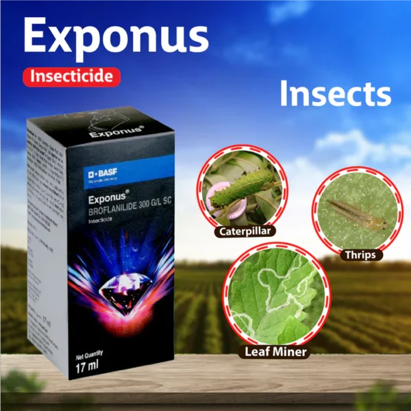 BASF Exponus Insecticide - Image 2