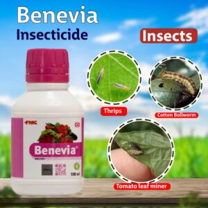 FMC Benevia Insecticide (Cyazypyr® active - 10.26% OD)