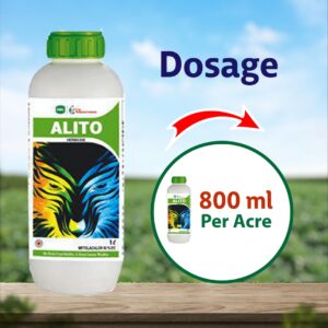 Swal Alito - 500 ML
