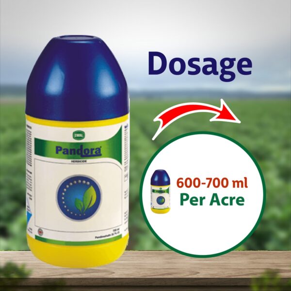 Swal Pandora Fungicide - 700 ML