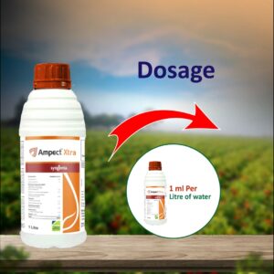 Syngenta Ampect Xtra Fungicide