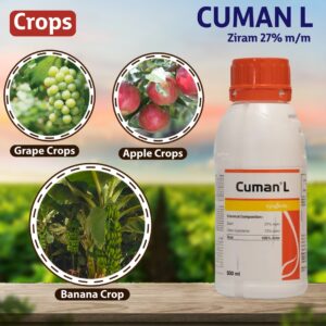 Syngenta Cuman (Ziram 27% ) Fungicide