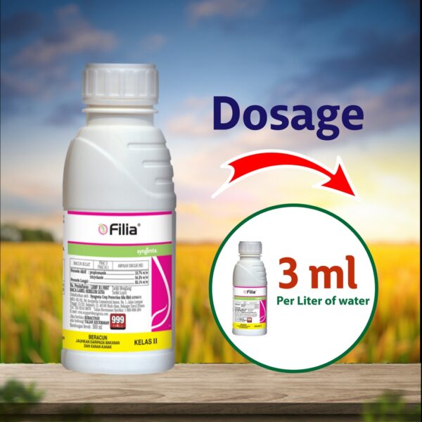 Syngenta Filia Fungicide