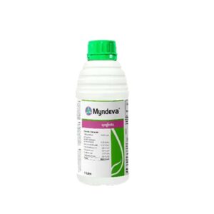 Syngenta Myndeva Insecticide