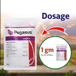 Syngenta Pegasus (Diafenthiuron 50%WP) Insecticide