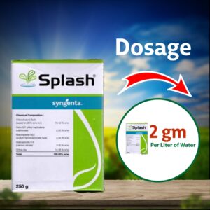 Syngenta Splash Fungicide