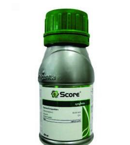 Syngenta Score Fungicide