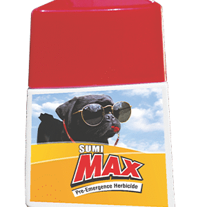sumi max Flumioxazin 50% SC