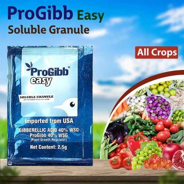 PROGIBB EASY - PGR - Image 2