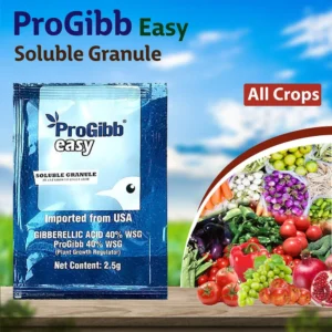 PROGIBB EASY - PGR