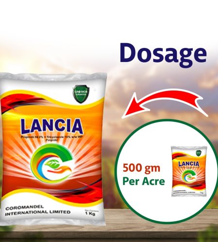 Coromandel Lancia Fungicide